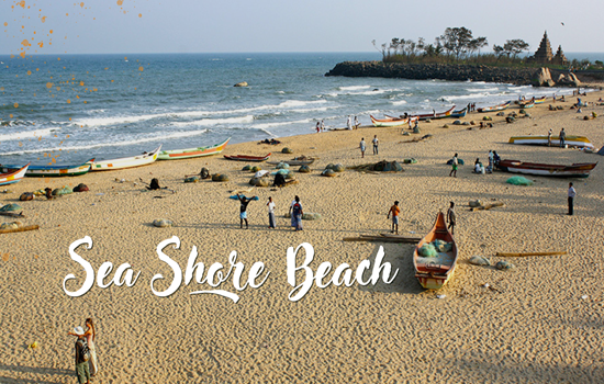 Sea Shore Beach